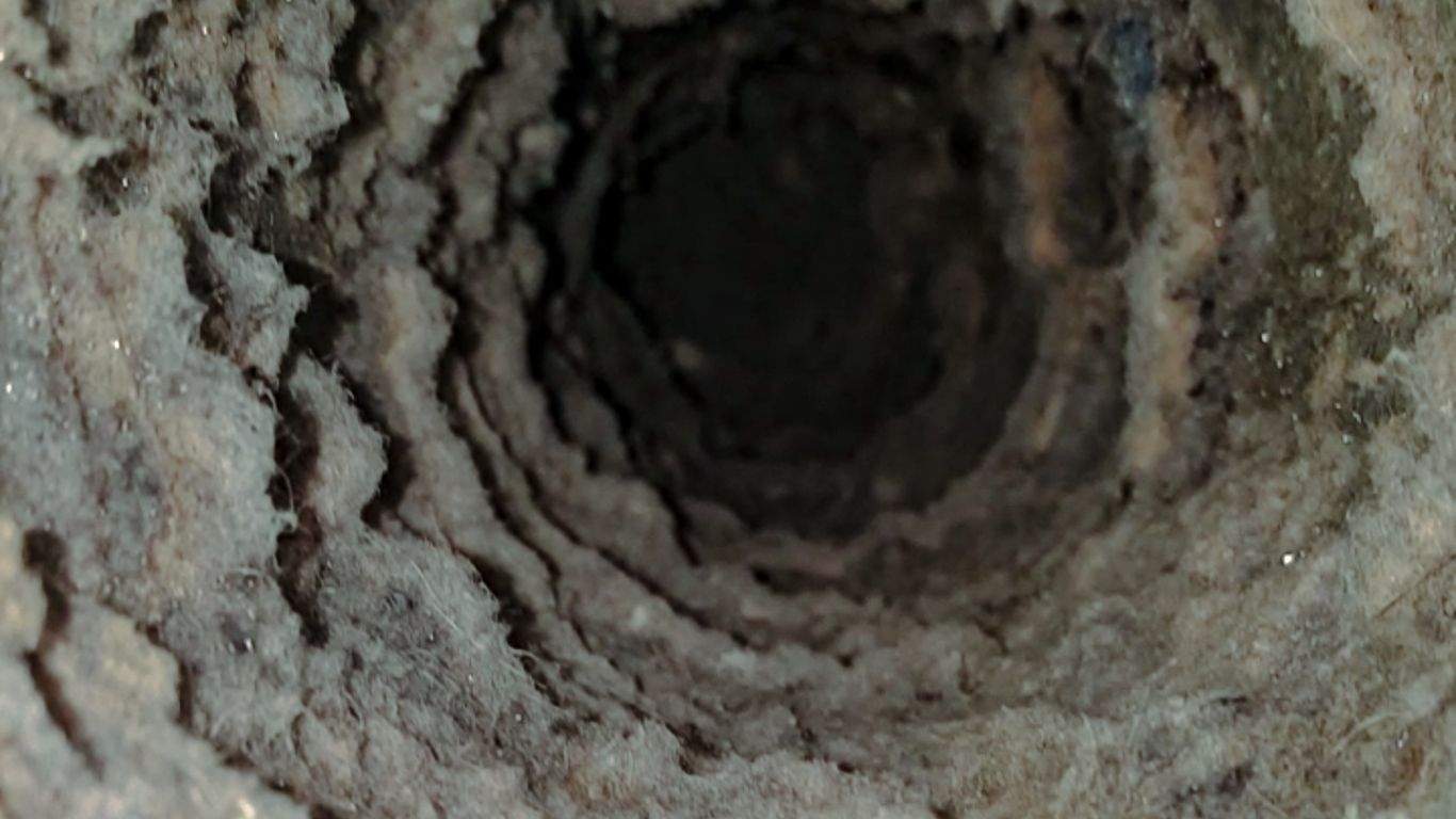 Dryer-Vent-Dirty