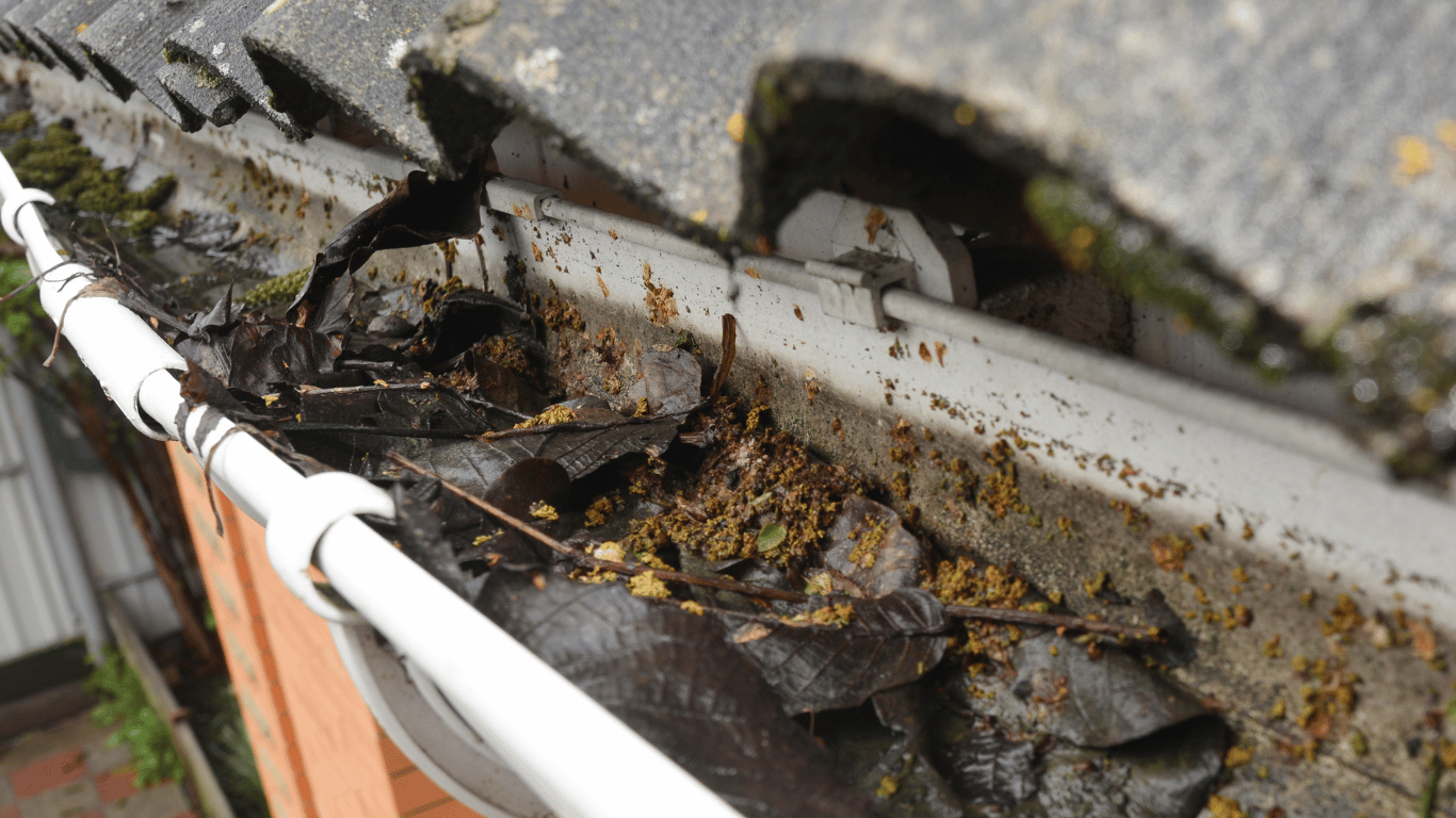 gutter-cleaning-before